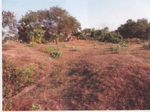 beswak mound